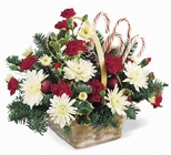 Candy Cane Lane Arrangement from Backstage Florist in Richardson, Texas